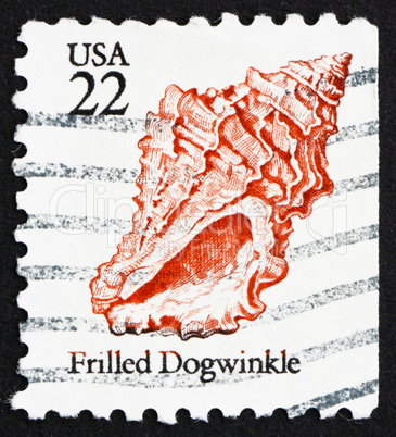 Postage stamp USA 1985 Frilled Dogwinkle, Seashell