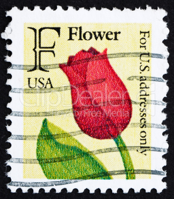 Postage stamp USA 1989 USA Tulip Flower