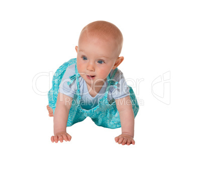 Adorable crawling baby facing camera
