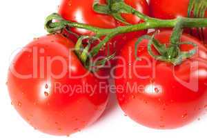 Bunch of fresh tomatoes with water drops
