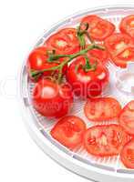 Fresh tomato on food dehydrator tray