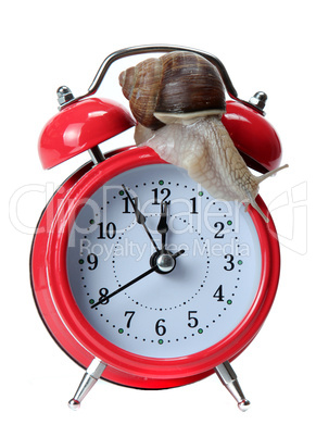red alarm-bell with snail