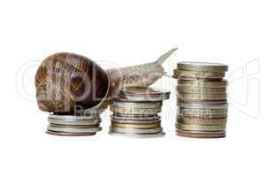snail climbing coins