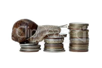 snail scrambles stack of coins