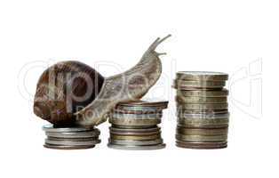 snail scrambles coins