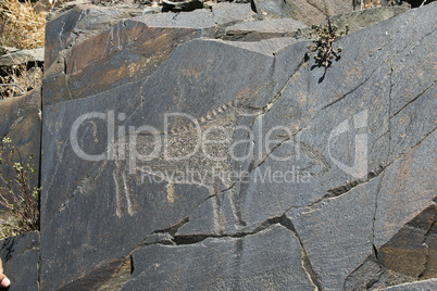 Ancient rock paintings