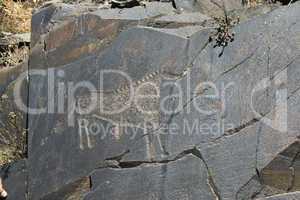 Ancient rock paintings