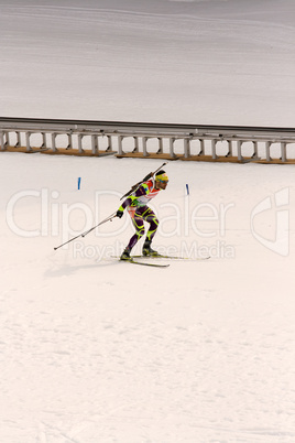 Biathlon Weltmeisterschaft 2012