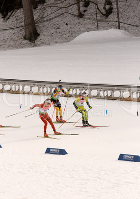 Biathlon Weltmeisterschaft 2012