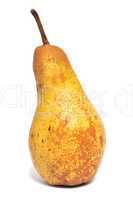 Pear fruit