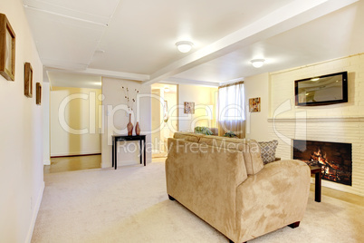 Basement bright living room with fireplace.