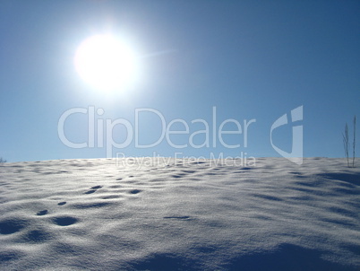 Winter solar landscape