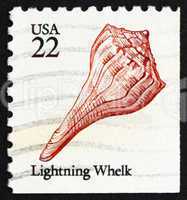 Postage stamp USA 1985 Lightning Whelk, Sea Snail