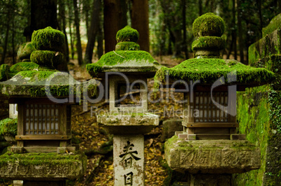 Stone lanterns in Nara