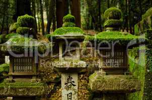 Stone lanterns in Nara