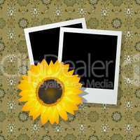 Photo frames with sunflower