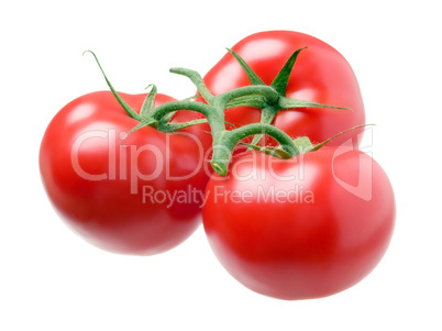 Three tomatoes isolated on white background.