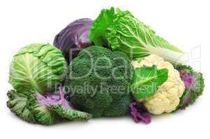 collection cabbage