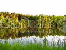 Forest mirroring in a lake with green grass in the foreground - isolated over white
