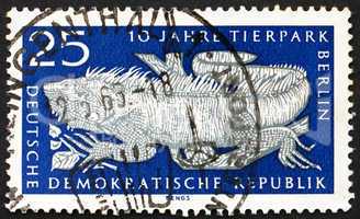 Postage stamp GDR 1965 Common Iguana