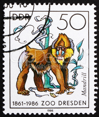 Postage stamp GDR 1986 Mandrill Monkey