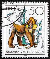 Postage stamp GDR 1986 Mandrill Monkey