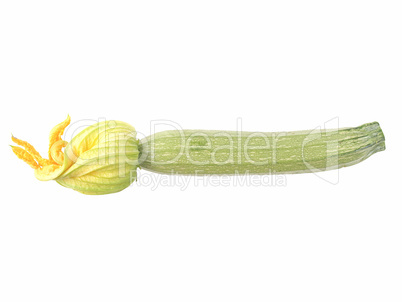 Courgettes zucchini