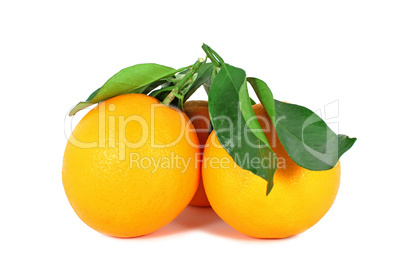 Two ripe oranges