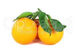 Two ripe oranges