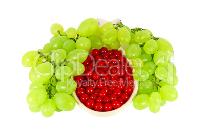 Grape and red currant