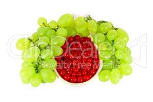 Grape and red currant
