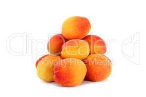 Apricots