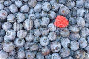Fresh blueberries and raspberry