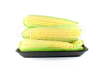 Corn cob sweetcorn