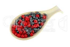 Blueberries and currants