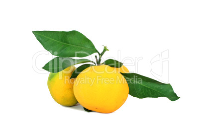 Mandarins