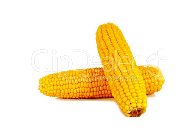 Cooked corn cob sweetcorn