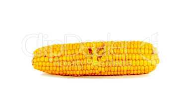 Cooked corn cob
