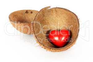 Heart in coconut shell