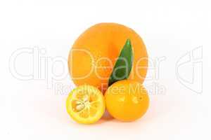 Orange and kumquat