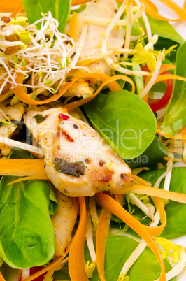 chicken's breast fillet with sprouted
