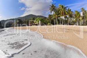 Tropical beach with coconut palms