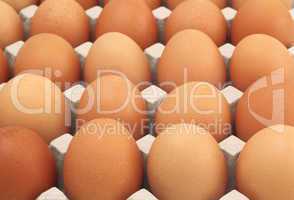 Chicken Eggs row pattern background