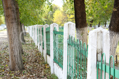 green fence autumn park