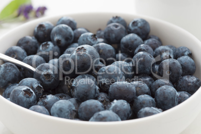 Fresh juicy blueberries