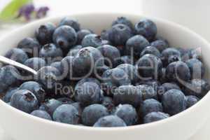 Fresh juicy blueberries