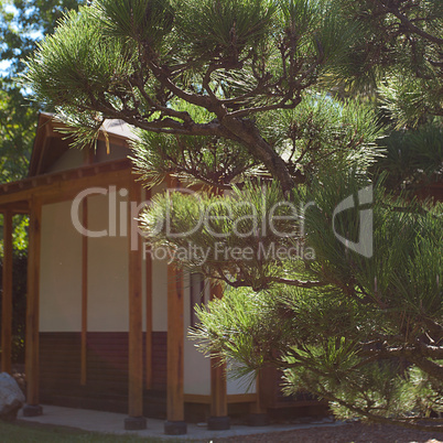 house in Japanese style on background of trees
