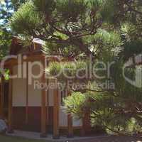 house in Japanese style on background of trees