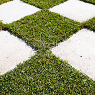 area in the form of chess in the Japanese garden