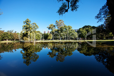 trees and a pond on a background of blue sky and the city